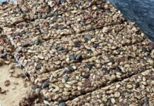 Delicious Gluten-Free, Sugar-Free, and Dairy-Free Flapjack: A Healthy Twist on a British Classic Vegan Flapjack Recipe