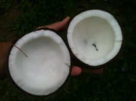 Coconut oil for cooking